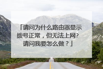请问为什么路由器显示拨号正常,但无法上网?请问我要怎么做?