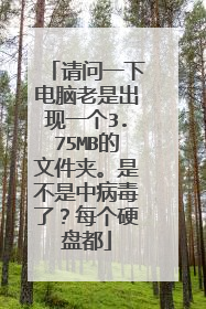 请问一下电脑老是出现一个3.75MB的文件夹。是不是中病毒了?每个硬盘都