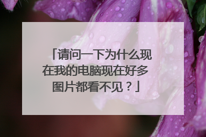 请问一下为什么现在我的电脑现在好多图片都看不见？