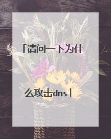 请问一下为什么攻击dns