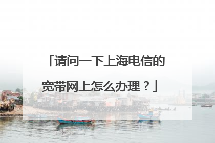 请问一下上海电信的宽带网上怎么办理?
