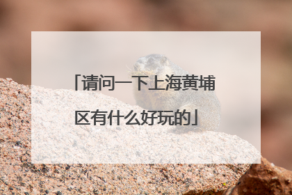 请问一下上海黄埔区有什么好玩的