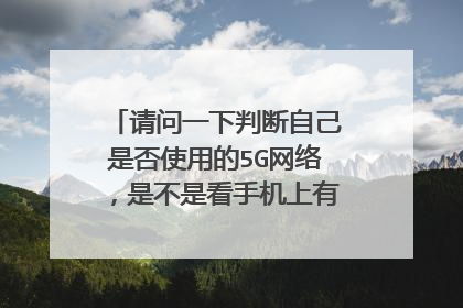 请问一下判断自己是否使用的5G网络，是不是看手机上有一个5G标识呢？