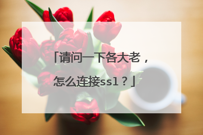 请问一下各大老，怎么连接ssl？