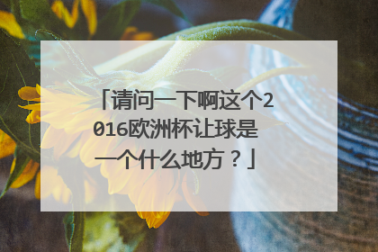 请问一下啊这个2016欧洲杯让球是一个什么地方？