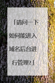 请问一下如何能进入域名后台进行管理?