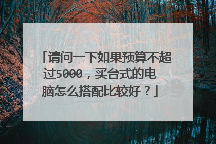 请问一下如果预算不超过5000,买台式的电脑怎么搭配比较好?