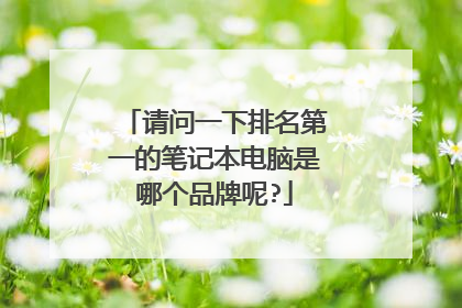 请问一下排名第一的笔记本电脑是哪个品牌呢?