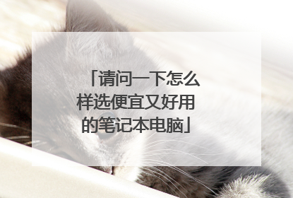请问一下怎么样选便宜又好用的笔记本电脑