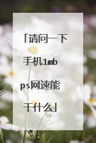 请问一下手机1mbps网速能干什么