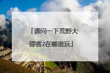请问一下荒野大镖客2在哪里玩