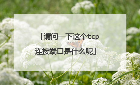 请问一下这个tcp连接端口是什么呢