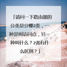 请问一下路由器的分类是分哪2类，一种是叫访问点，另一种叫什么？2者有什么区别？