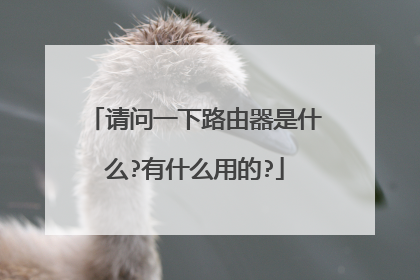 请问一下路由器是什么?有什么用的?