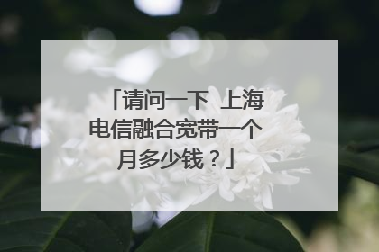 请问一下 上海电信融合宽带一个月多少钱?