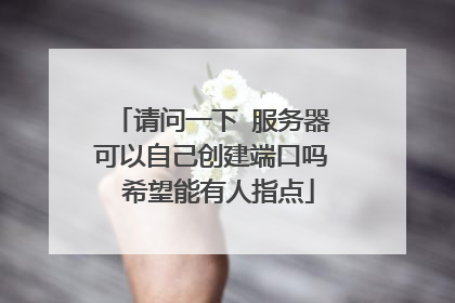 请问一下 服务器可以自己创建端口吗 希望能有人指点