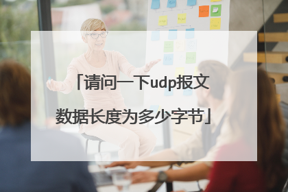 请问一下udp报文数据长度为多少字节