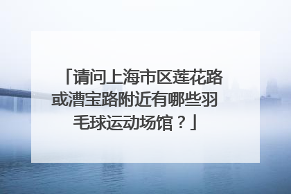 请问上海市区莲花路或漕宝路附近有哪些羽毛球运动场馆?