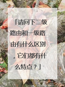 请问下二级路由和一级路由有什么区别,它们都有什么特点?