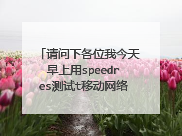 请问下各位我今天早上用speedres测试t移动网络速度，当时测得数据之后貌似没把这个程序关了！后