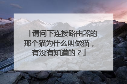 请问下连接路由器的那个猫为什么叫做猫，有没有知道的？