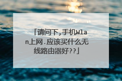 请问下,手机Wlan上网.应该买什么无线路由器好??