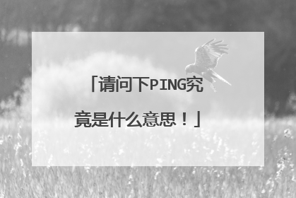 请问下PING究竟是什么意思!