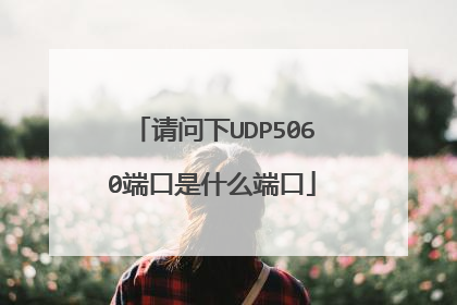 请问下UDP5060端口是什么端口