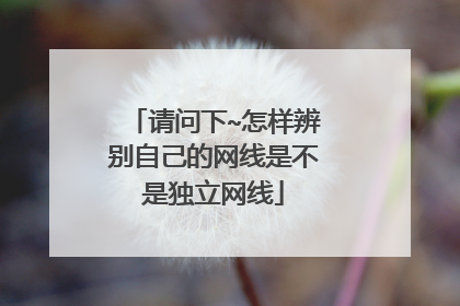 请问下~怎样辨别自己的网线是不是独立网线