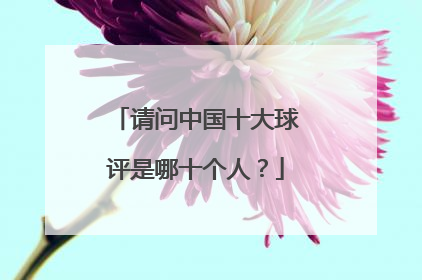 请问中国十大球评是哪十个人？