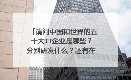 请问中国和世界的五十大IT企业是哪些?分别研发什么?还有在具体软件方面的呢?