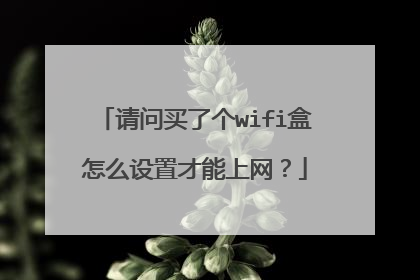 请问买了个wifi盒怎么设置才能上网?