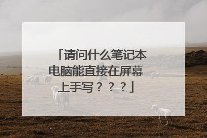 请问什么笔记本电脑能直接在屏幕上手写???