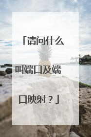 请问什么叫端口及端口映射?