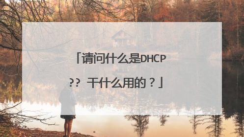 请问什么是DHCP?? 干什么用的?