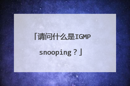 请问什么是IGMP snooping?