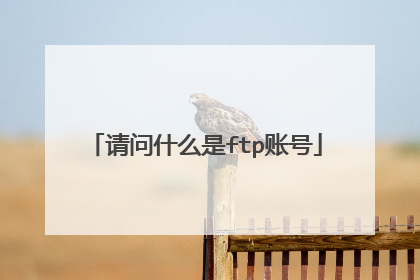 请问什么是ftp账号