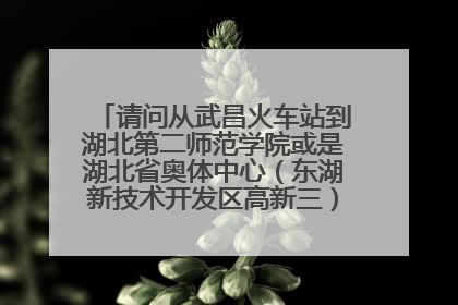 请问从武昌火车站到湖北第二师范学院或是湖北省奥体中心（东湖新技术开发区高新三）怎么做公交吗，谢谢
