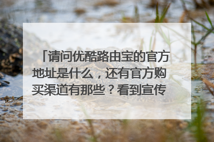 请问优酷路由宝的官方地址是什么,还有官方购买渠道有那些?看到宣传感觉不错想搞一个,结果百度一下只有