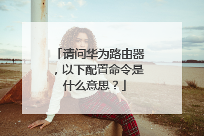 请问华为路由器，以下配置命令是什么意思？