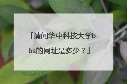 请问华中科技大学bbs的网址是多少?