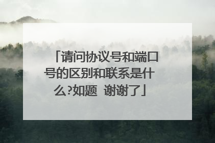 请问协议号和端口号的区别和联系是什么?如题 谢谢了