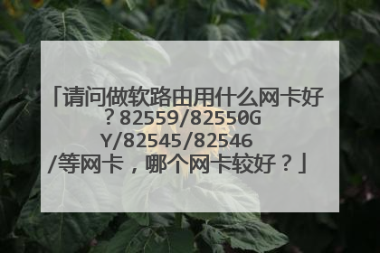 请问做软路由用什么网卡好?82559/82550GY/82545/82546/等网卡,哪个网卡较好?