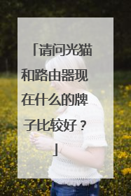 请问光猫和路由器现在什么的牌子比较好？