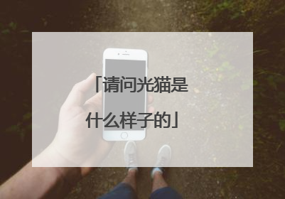 请问光猫是什么样子的