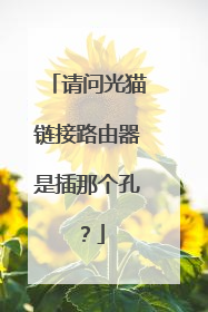 请问光猫链接路由器是插那个孔?