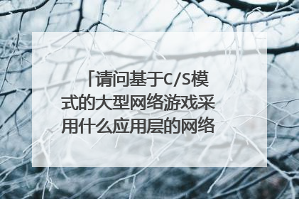 请问基于C/S模式的大型网络游戏采用什么应用层的网络传输协议,有人说