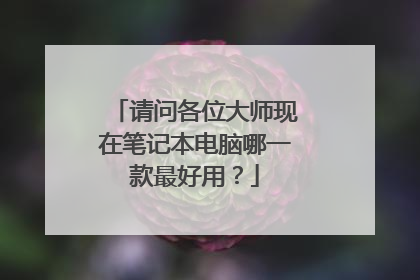 请问各位大师现在笔记本电脑哪一款最好用？