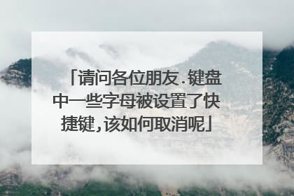 请问各位朋友.键盘中一些字母被设置了快捷键,该如何取消呢