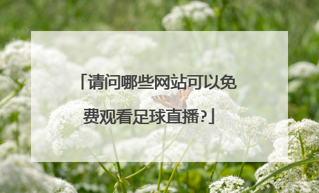 请问哪些网站可以免费观看足球直播?